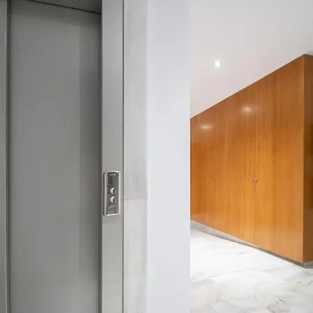 Animalia Apartamento
